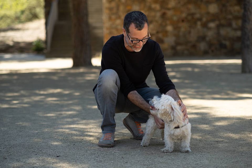 Los animales y las políticas animalistas son una prioridad para el PSC Sant Vicenç dels Horts , Sant Vicenç en Positiu y #VerdsSVH. 🤝 Nuestro compromiso es el de crear la concejalía de Bienestar animal, para velar por una tenencia responsable de animales y garantizar sus derechos. Así daremos continuidad al programa de bienestar animal que hemos creado este mandato. 🌐 Descubre todas nuestras propuestas en el ámbito del animalismo: